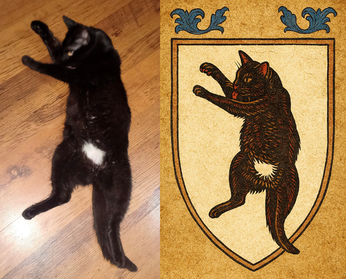 Великая удача, милорд! Наш замок посетила гербовая кошка, чьё появление было предсказано! Она является лишь однажды на 1.000.000 постов!