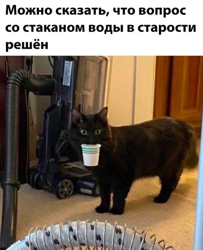 Вопрос решён