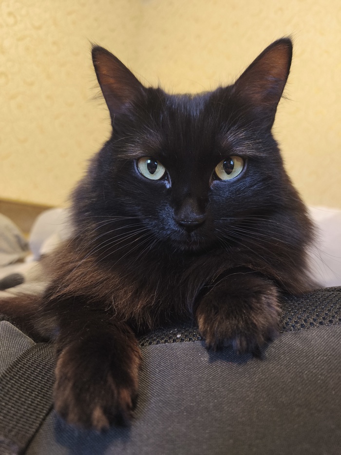 Утонченность и элегантность