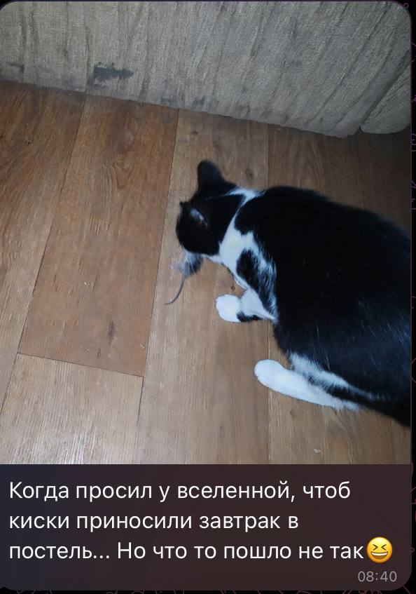 Про неточность запросов ко вселенной