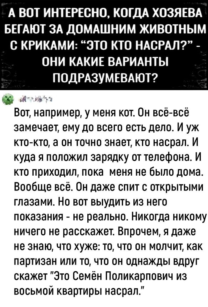 Семён во всём виноват