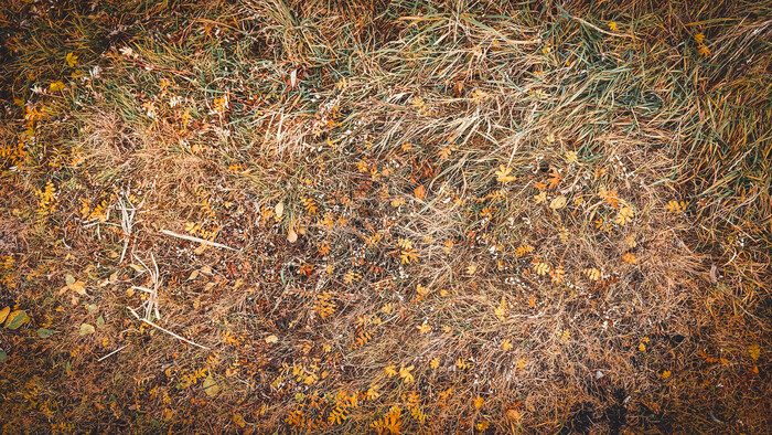 На велике прокатился. Заокские дали