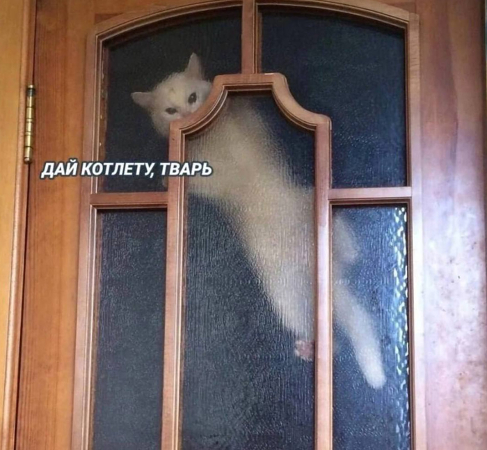 Этот покоя не даст