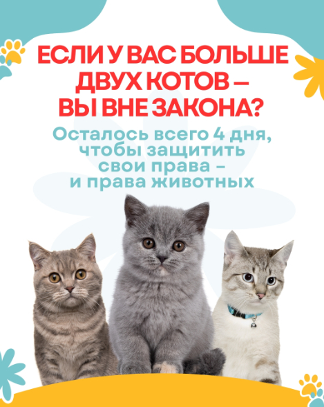 Чем дальше в лес