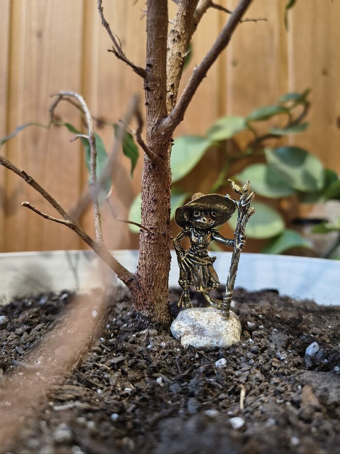 Но портал закрылся, оставив под ногами, лишь пустую мёртвую почву, взобравшись на камень, Лягушка осматривала новый неизведанный для неё мир.