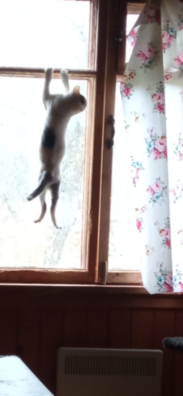 .   .   &#x1F602;&#x1F926;&#x200D;&#x2640;&#xFE0F;