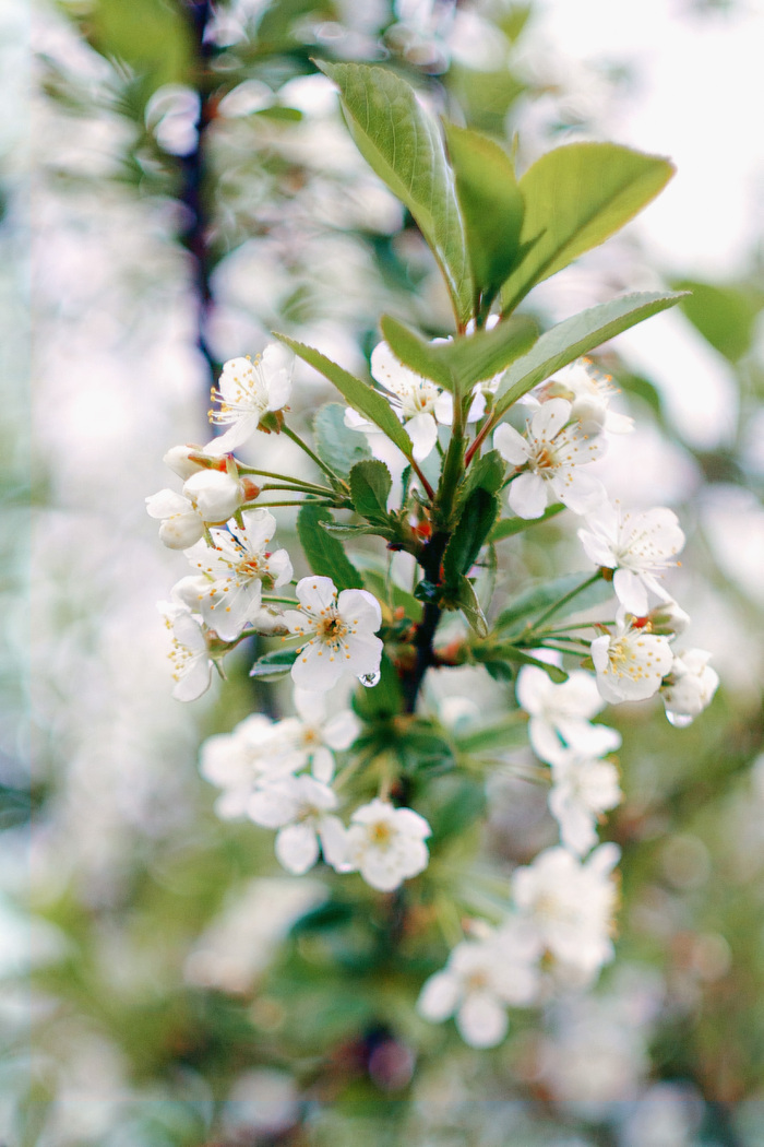 # 44-2 #Canon 400d #