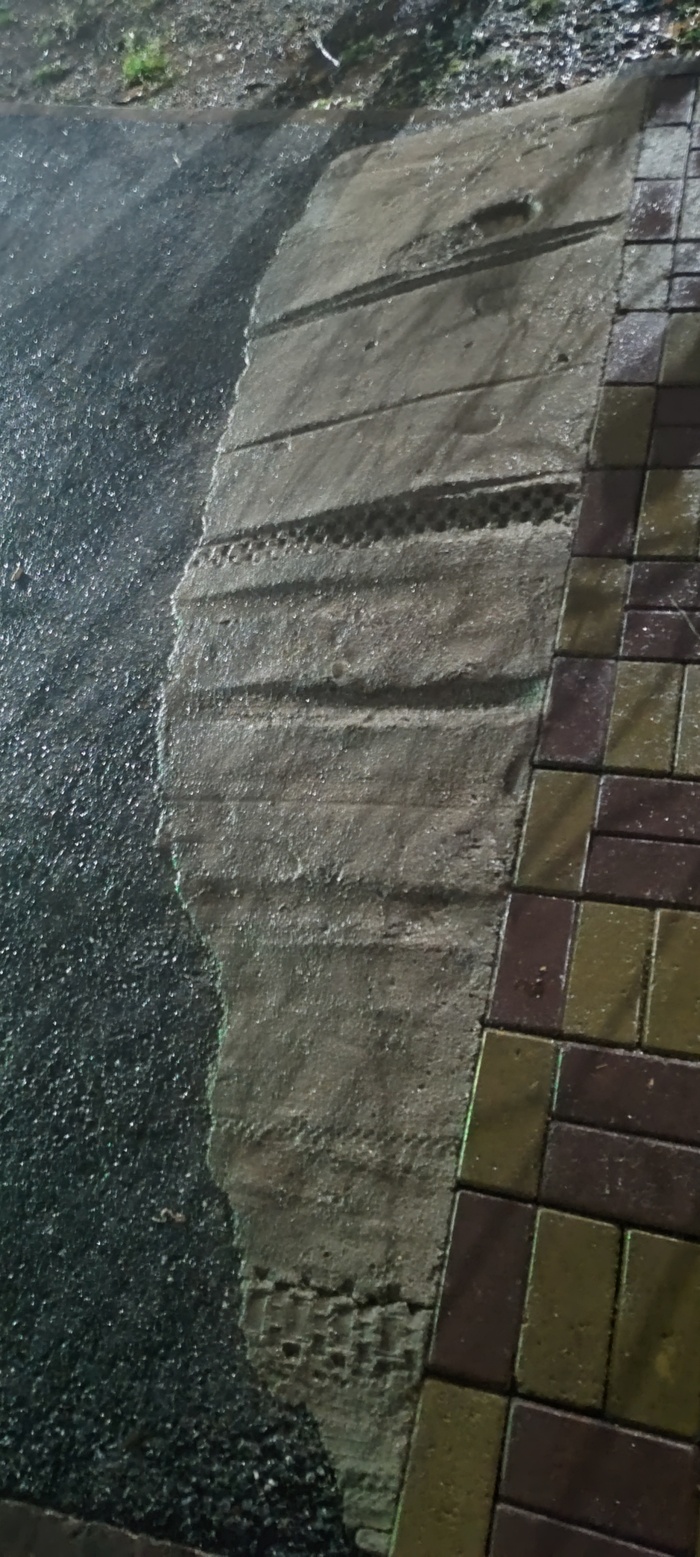 Следы представителей вида Homo Stupidus Maximus