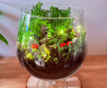 ���������� ����������