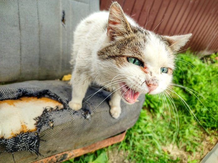 Я тут главная!