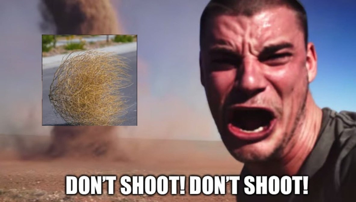 Перекати - поле может напугать любого :D