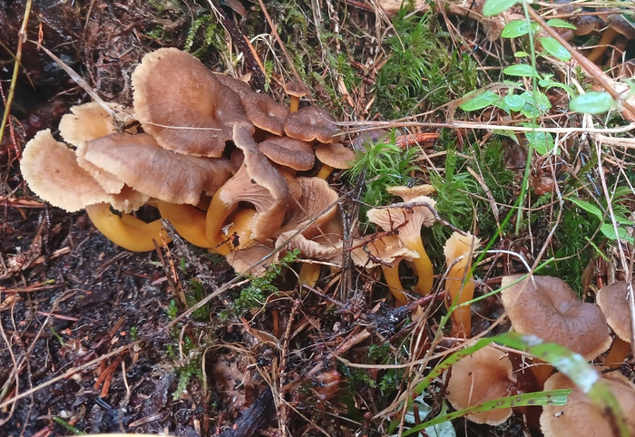 Фото Л. Скворцовой.