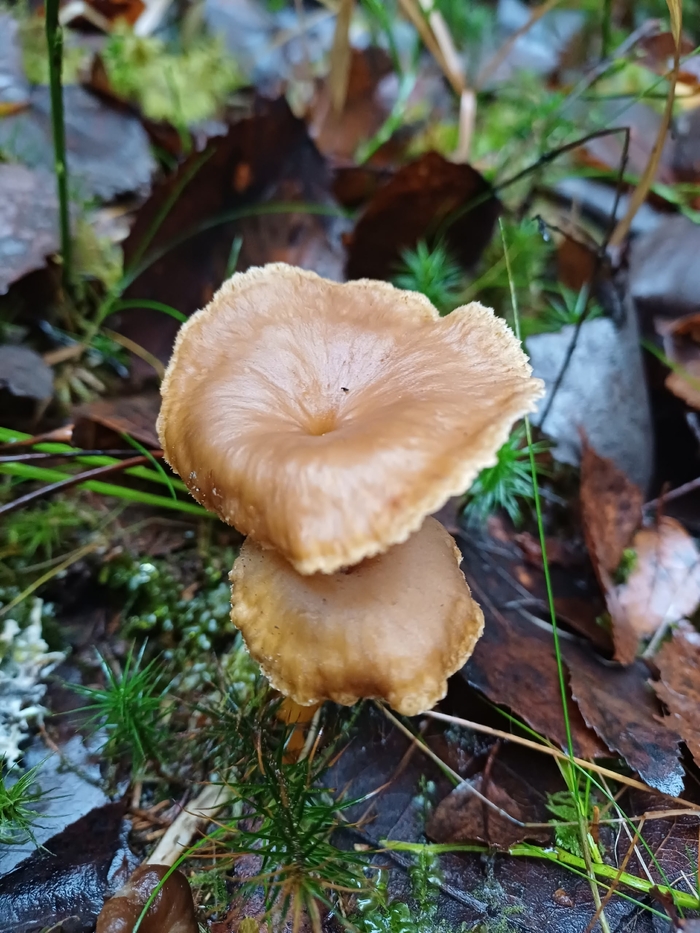 Фото Е. Симоновой.