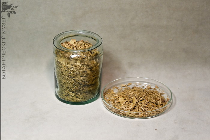     . .  .. , 1911 .       .