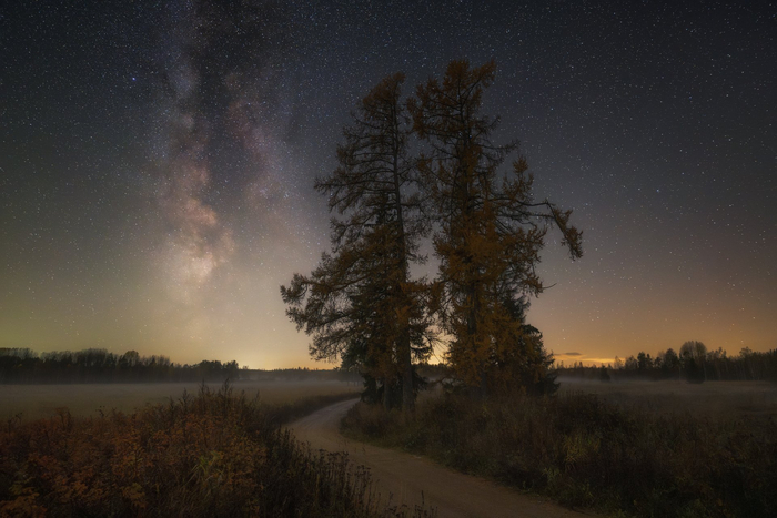  (a7III, sony 20mm f/1.8 G, 15 , ISO 3200):   <a href="https://pikabu.ru/story/strazhi_dorogi_13397364?u=https%3A%2F%2Frtraveler.ru%2Fphoto%2F1479404%2F%3Feditorial_photos%3D1&t=%D0%BE%D1%82%D1%81%D1%8E%D0%B4%D0%B0&h=9740c523858b45e7ec7dd035da21cfc7c3285b6c" title="https://rtraveler.ru/photo/1479404/?editorial_photos=1" target="_blank" rel="nofollow noopener"></a>