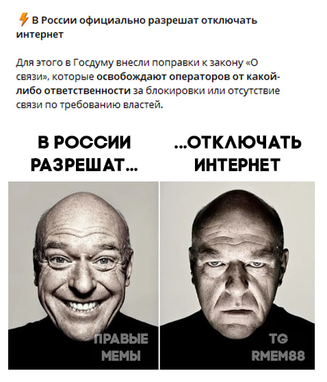 6rkvkr5n.jpg