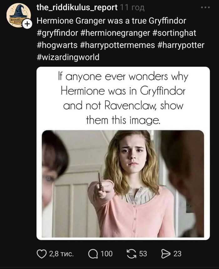 Перевод: "Если кто-то будет удивляться, почему Гермиона была в Гриффиндоре, а не в Рейвенкло, покажите им эту картинку".