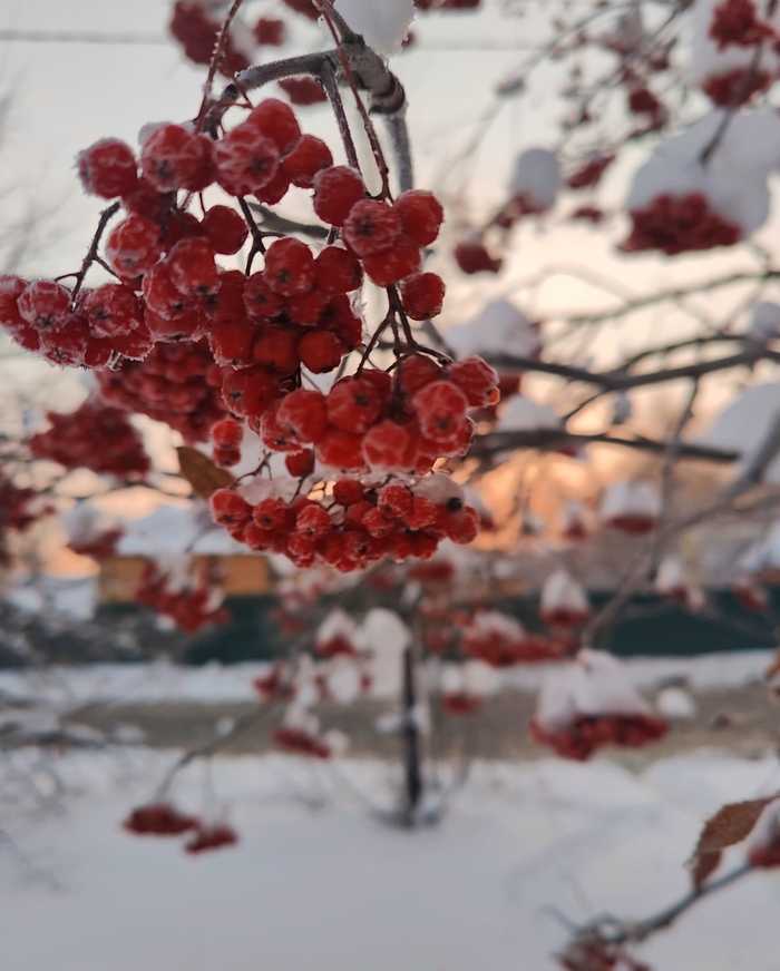 А зима будет большая...