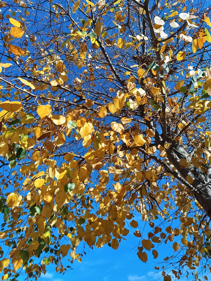 �� ������� ��������� � �������