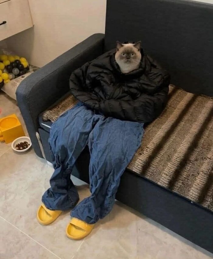 Наташа, нам нужно поговорить