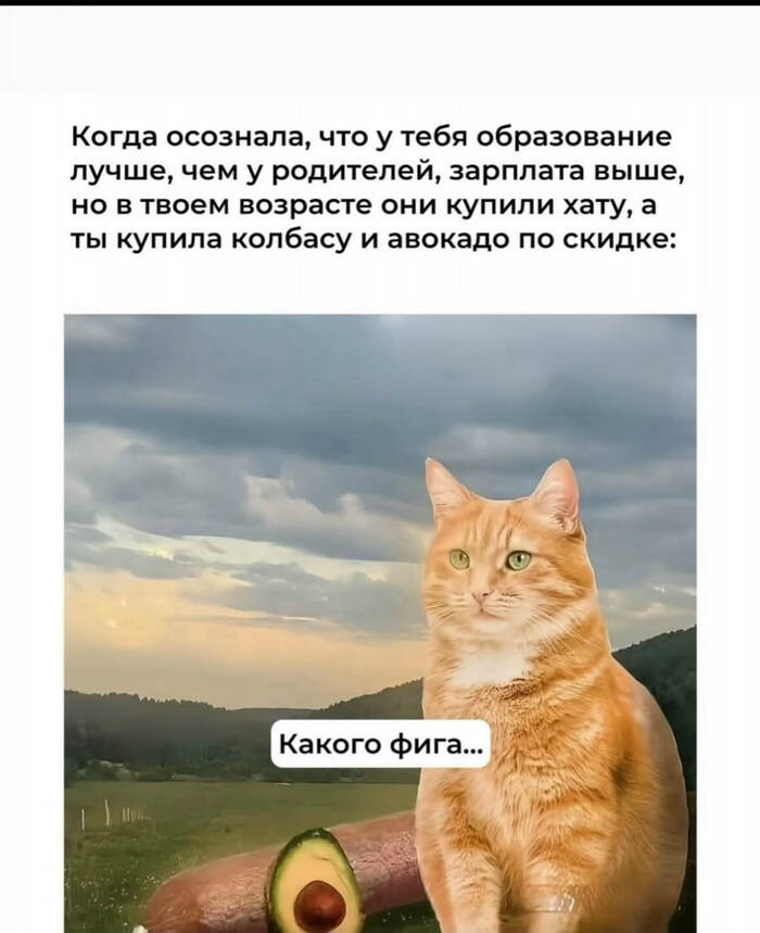 Трудности жизни