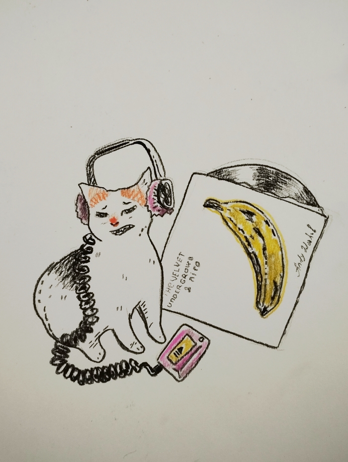 ,    Velvet underground