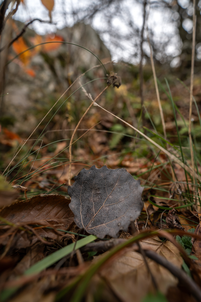 Зима близко...