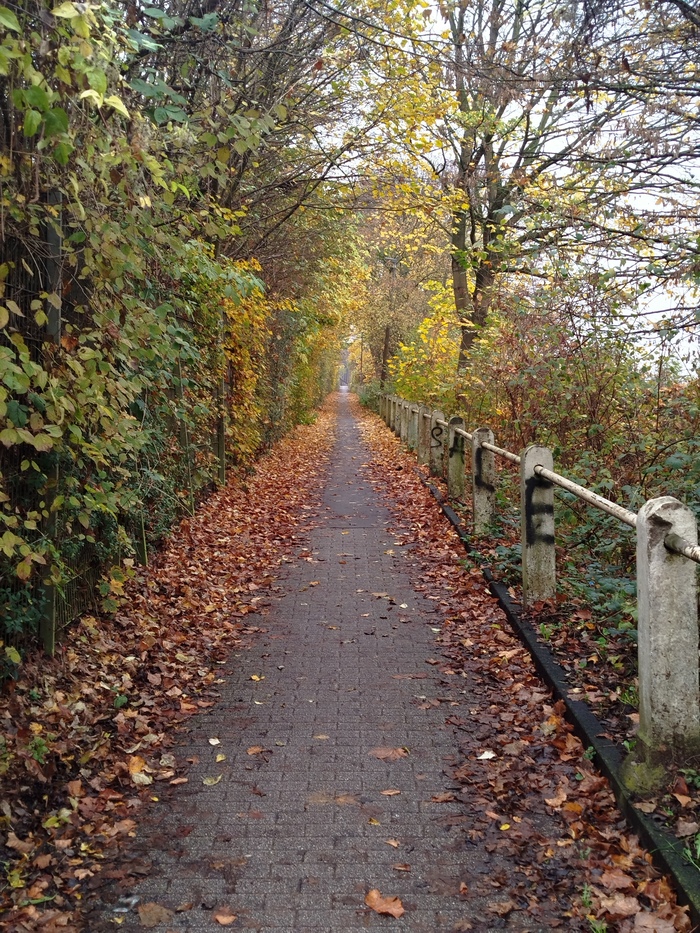 Ноябрь 2025, Дуисбург, Германия.