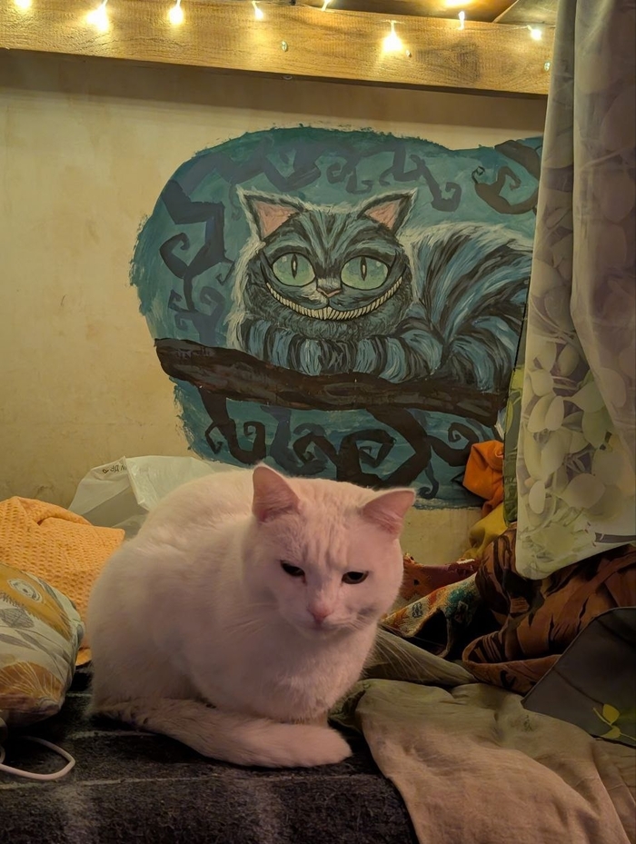 Чеширский кот