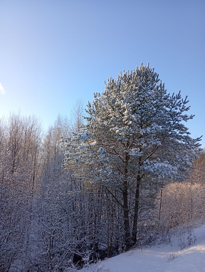 Первый снег