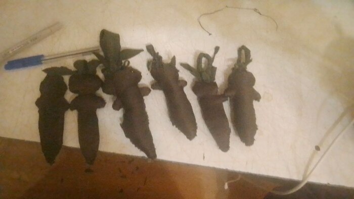 корешки на ярмарку