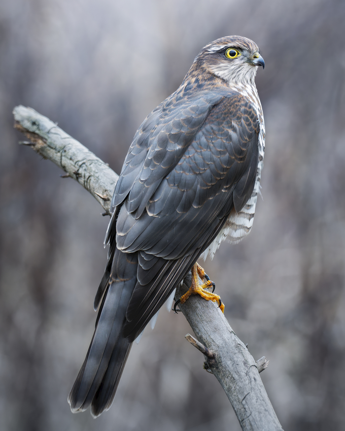 :   <a href="https://pikabu.ru/story/yastrebperepelyatnik_13403843?u=https%3A%2F%2Frtraveler.ru%2Fphoto%2F1479306%2F%3Feditorial_photos%3D1&t=%D0%BE%D1%82%D1%81%D1%8E%D0%B4%D0%B0&h=f80d9dca470afab6dd9c92e582bcdc7ffcc74d74" title="https://rtraveler.ru/photo/1479306/?editorial_photos=1" target="_blank" rel="nofollow noopener"></a>