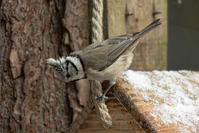 Что-то я не понял