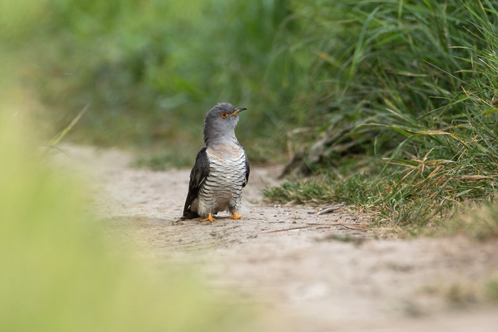 Автор фото: Анатолий Садовский
