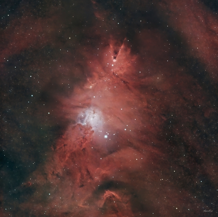 Ngc 2264 "Рождественская ель"