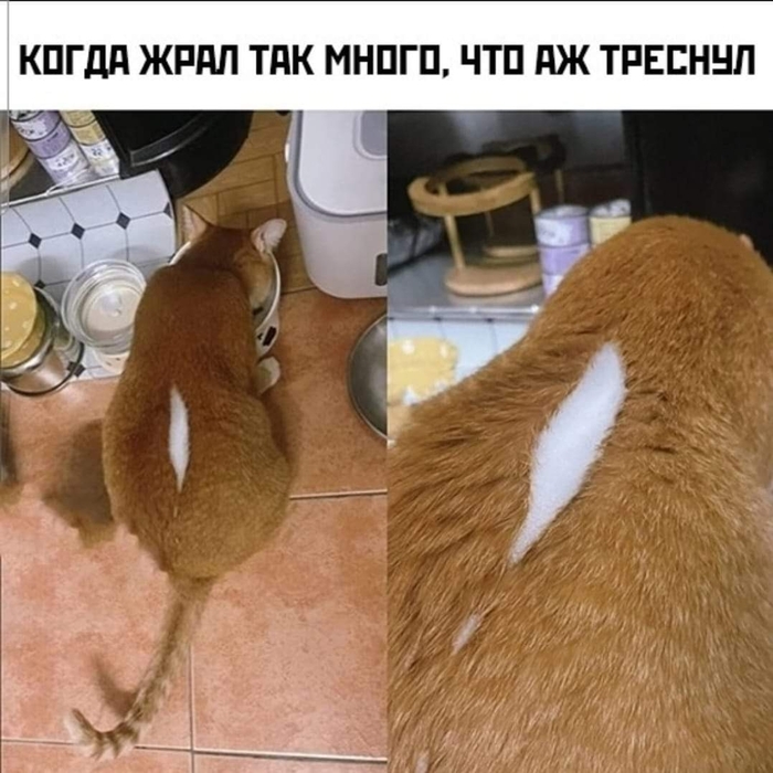 НАДУВАТЕЛЬСТВО