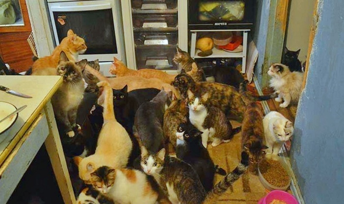 Просто ещё один способ расставаться с деньгами, нищебродское проклятие или снятие стресса?