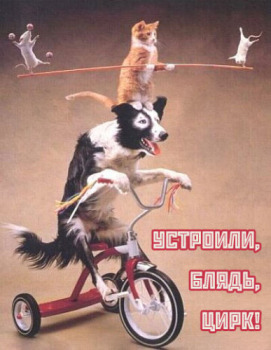 Ответ OldRedKomrad в «Моя девочка с персиками акварелью»