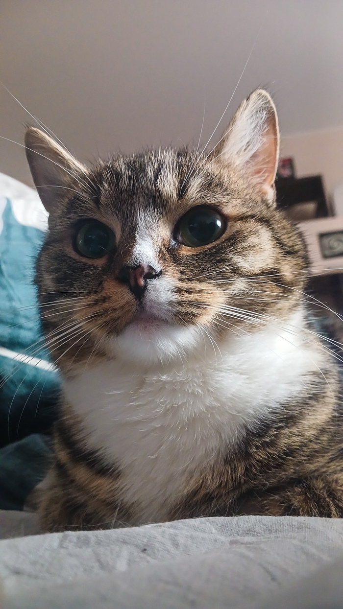 Мурочку в ленту...