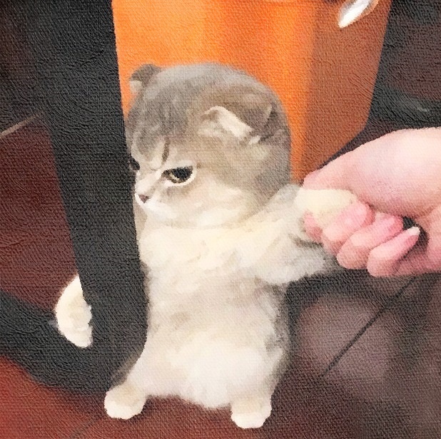  &quot; !&quot; (, ) 2016 