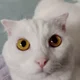 ������ ������������ user10146577