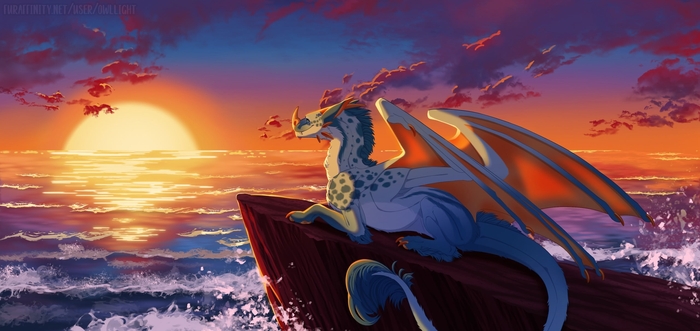 Looking at the horizon