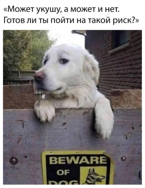 Готов рискнуть?