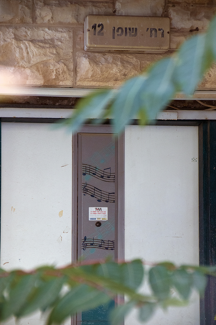 Музыкальная дверь на улице Шопена