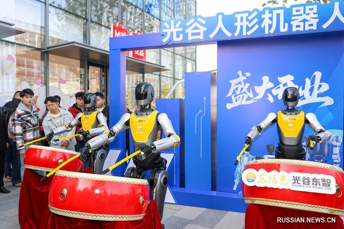 11  2025 ,        7S-      .  / /. /: /