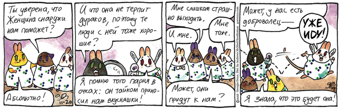 Котейкины Новости от 20.11.2025