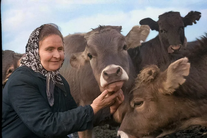 Фотограф: Валерий Бысов