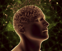 ���� � ��������