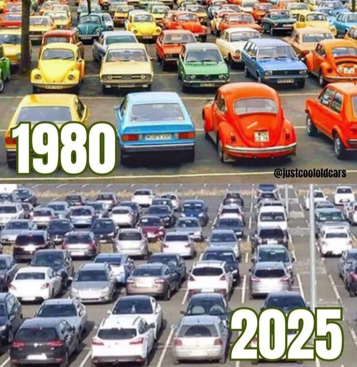 Что стало с цветами машин?