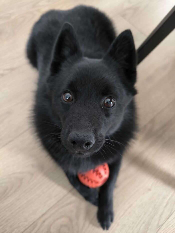 Ну очень сладкая булочка ^^